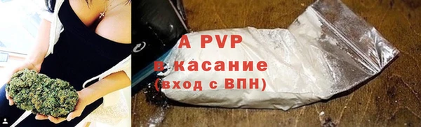 ГАЛЛЮЦИНОГЕННЫЕ ГРИБЫ Касимов