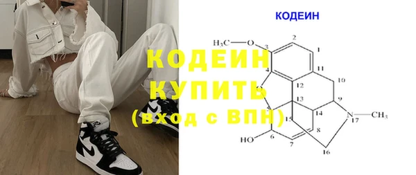 молекула духа Карпинск