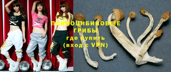 spice Россошь