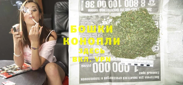 спайс Рославль