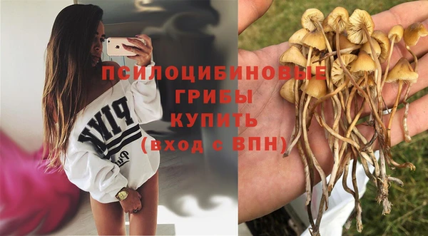 соль ск Дегтярск