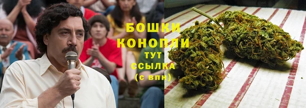 спайс Рославль