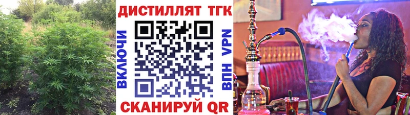 наркотики  Кедровый  Дистиллят ТГК концентрат 