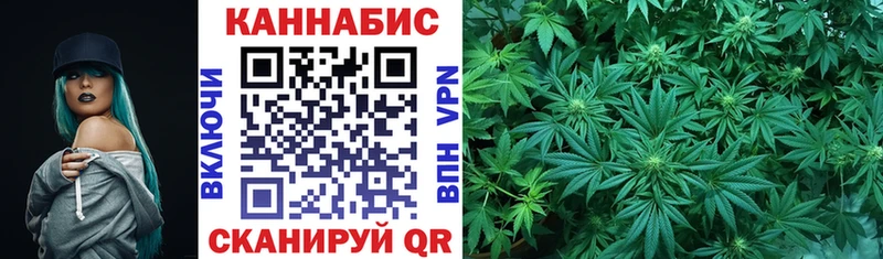 где купить наркоту  Кедровый  Конопля гибрид 